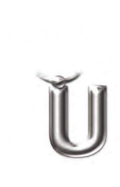 Initial Keyring Letter U