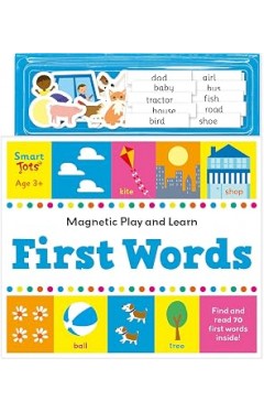 First Words: Magnetic Play &amp; Learn