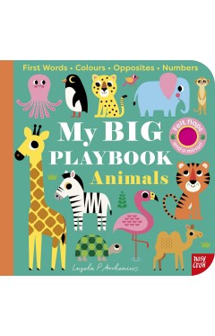 My BIG Playbook