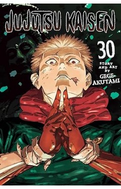 Jujutsu Kaisen, Vol. 30: Volume 30