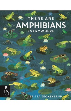There Are Amphibians Everywhere