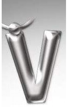 Initial Keyring Letter V