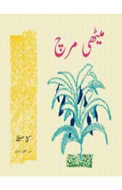 Meethi Mirch - Paperback