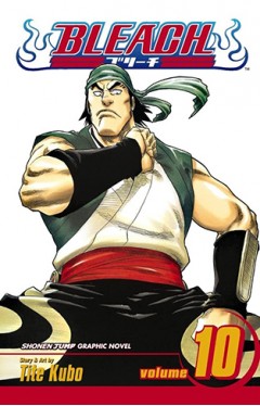 Bleach: v. 10: Tattoo on the Sky: Volume 10