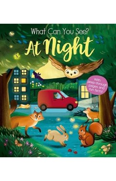What Can You See At Night