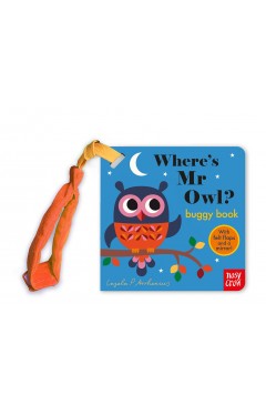 Where's Mr Owl? Buggy Book (Felt Flaps)