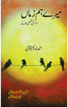 Mere Hum Zamaan
