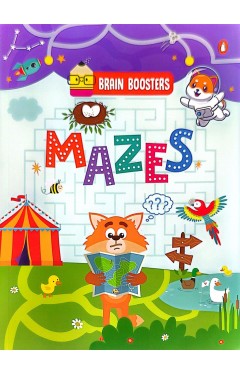 Brain Boosters Mazes