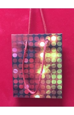 Gift Bag Glowing Lights Spring 949