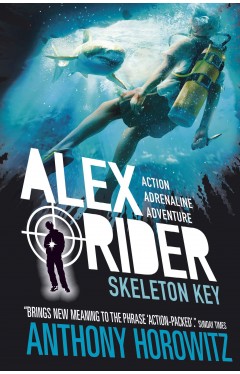 Skeleton Key: Alex Rider Book 3