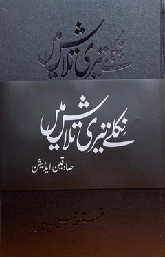 Niklay Teri Talash Mein (Sadequain Edition)