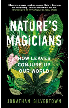 Nature's Magicians: How Leaves Conjure Up Our World