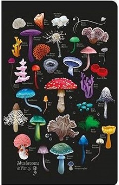 Anna Stead: Mushrooms &amp; Fungi