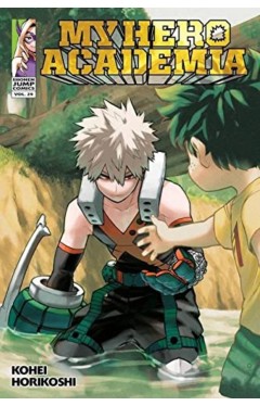 My Hero Academia, Vol. 29: Volume 29